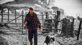 Agriculture farmer and sheep dog